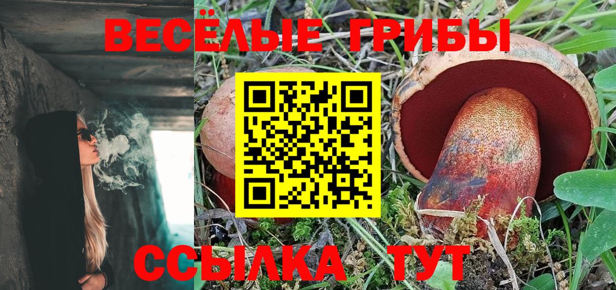 Галлюциногенные грибы Psilocybe Удомля